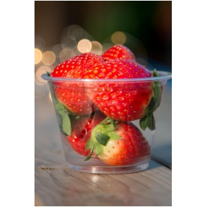 VASO DE FRESON 230GR